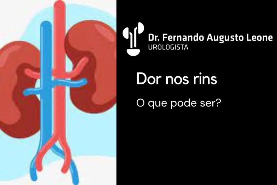 dor nos rins