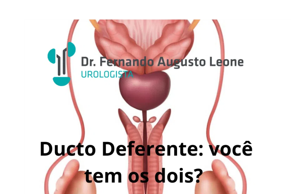 ducto deferente