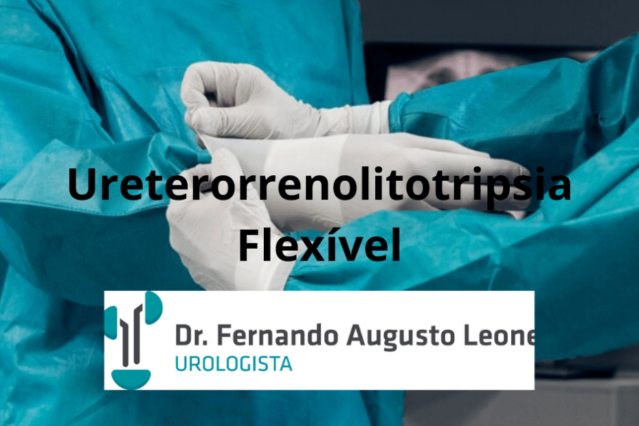 Ureterorrenolitotripsia Flexível